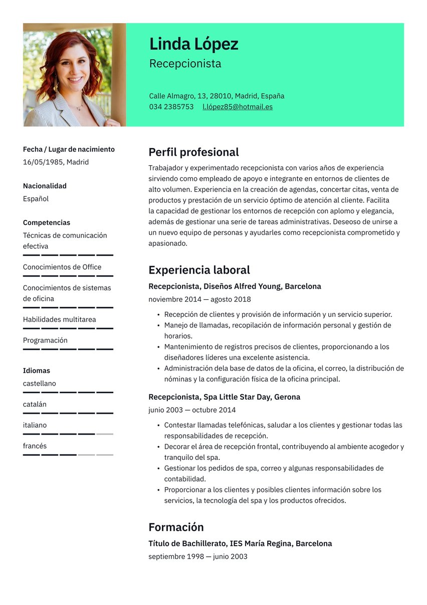 Viena resume template