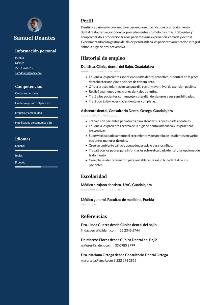 Dublín resume template