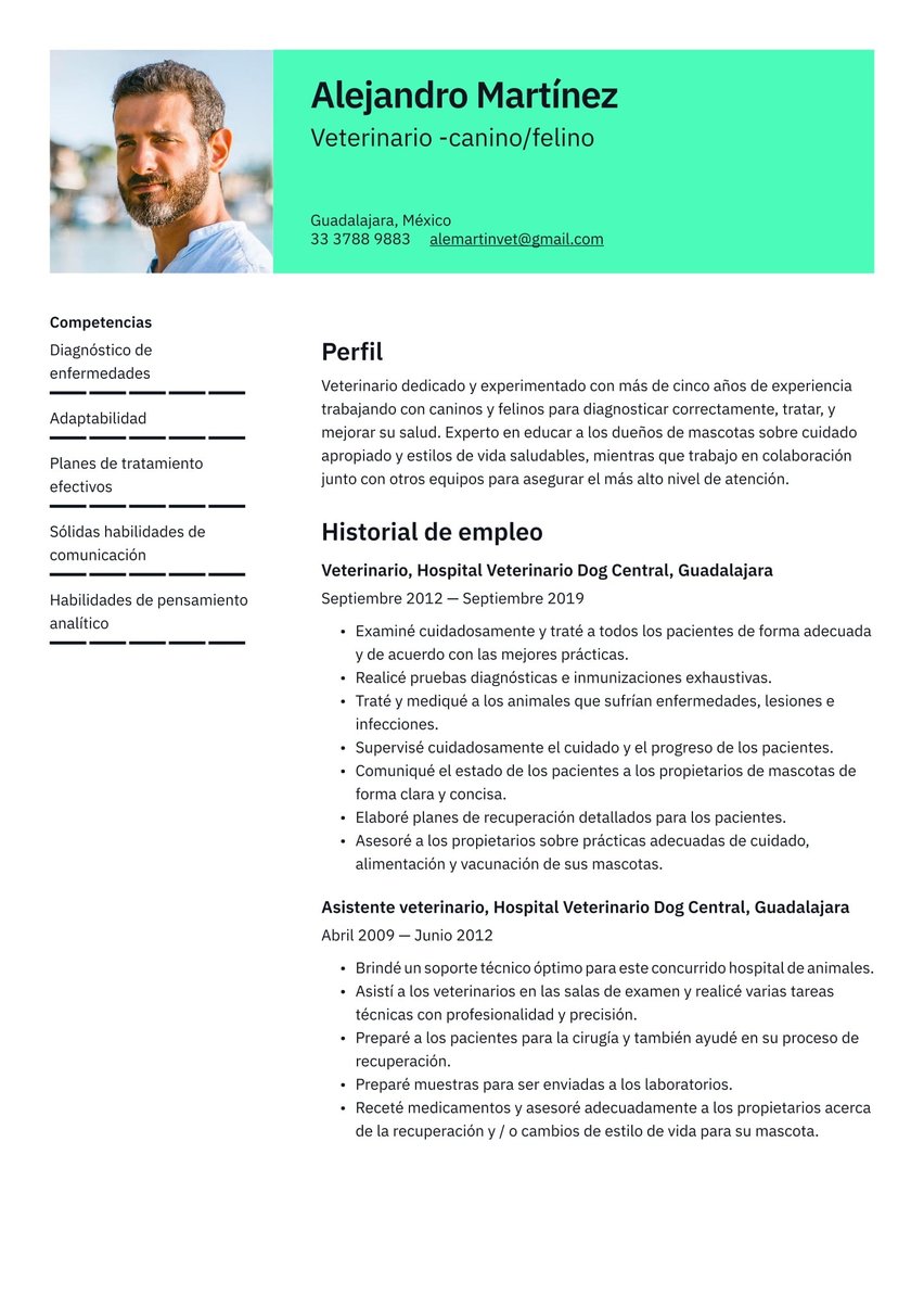 Viena resume template