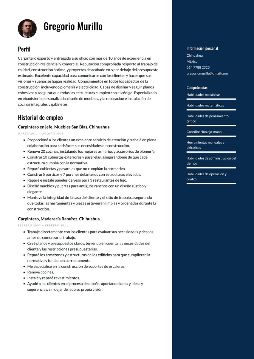 Sídney resume template