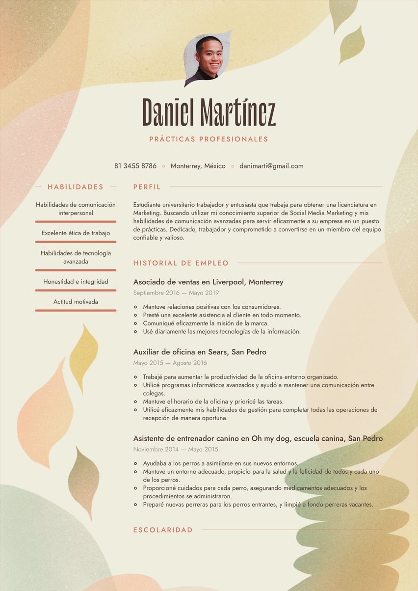 Río resume template
