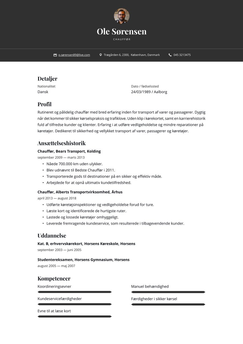 Oslo resume template
