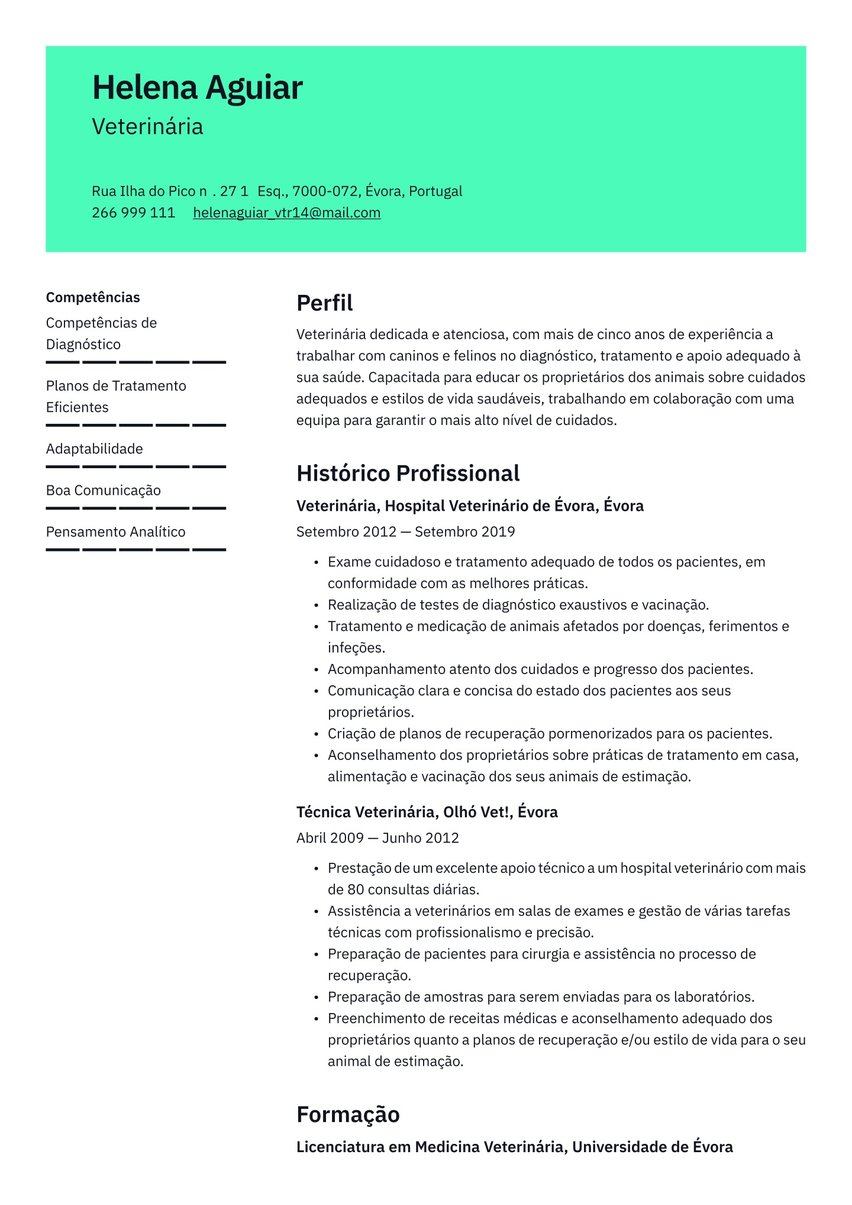 Vienna resume template