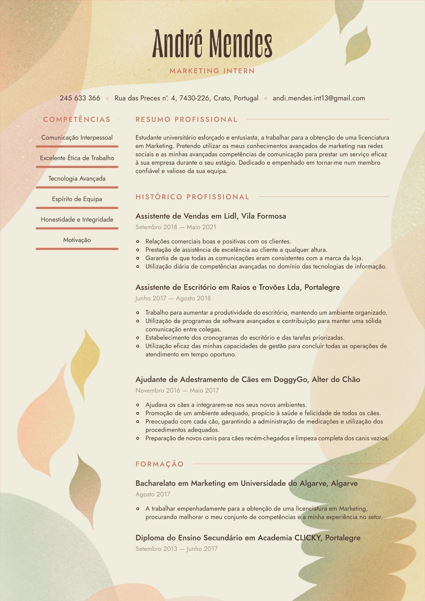 Rio resume template