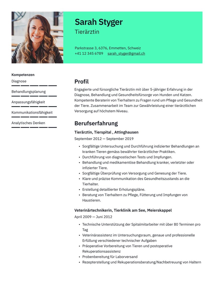 Wien resume template
