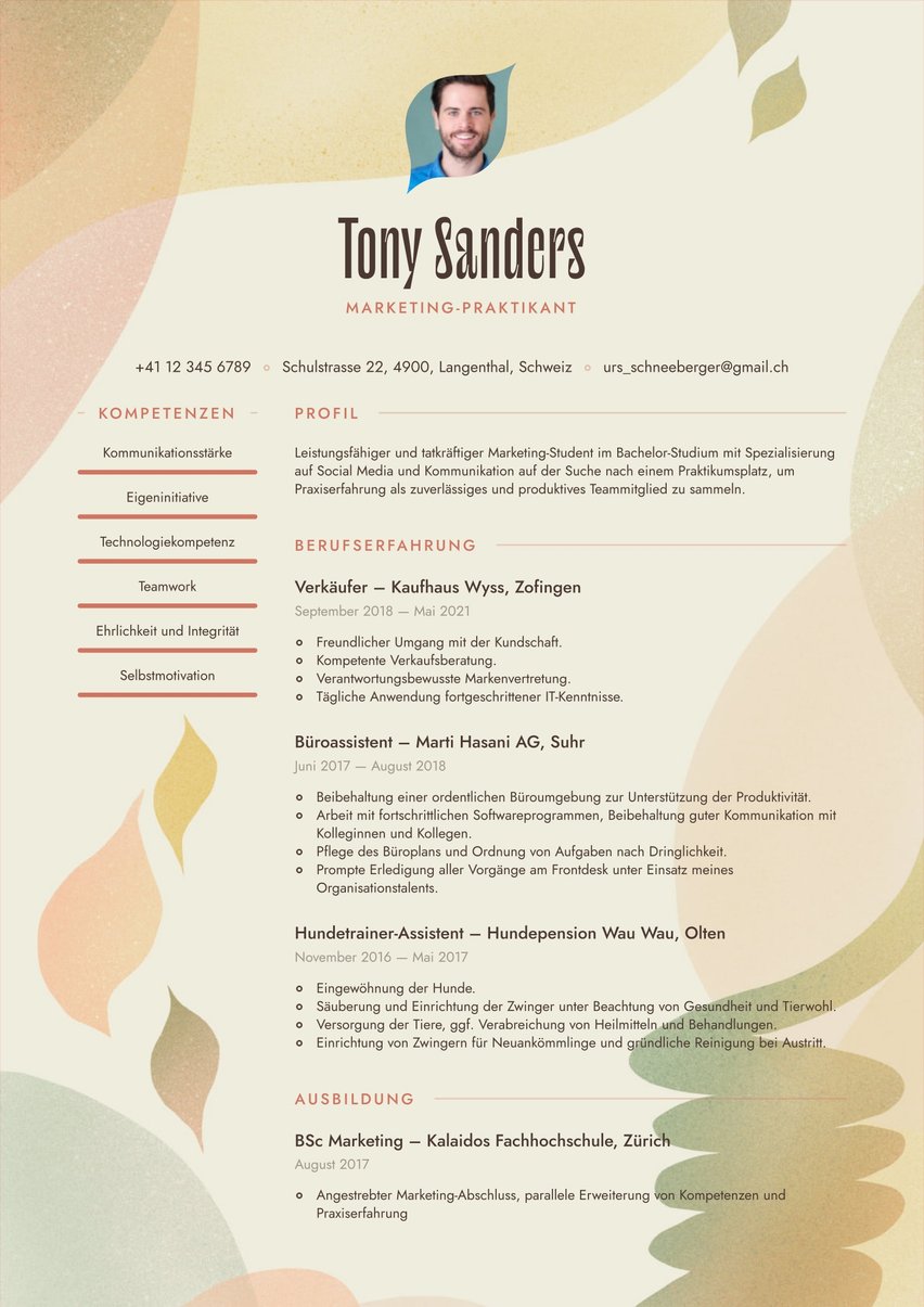 Rio resume template