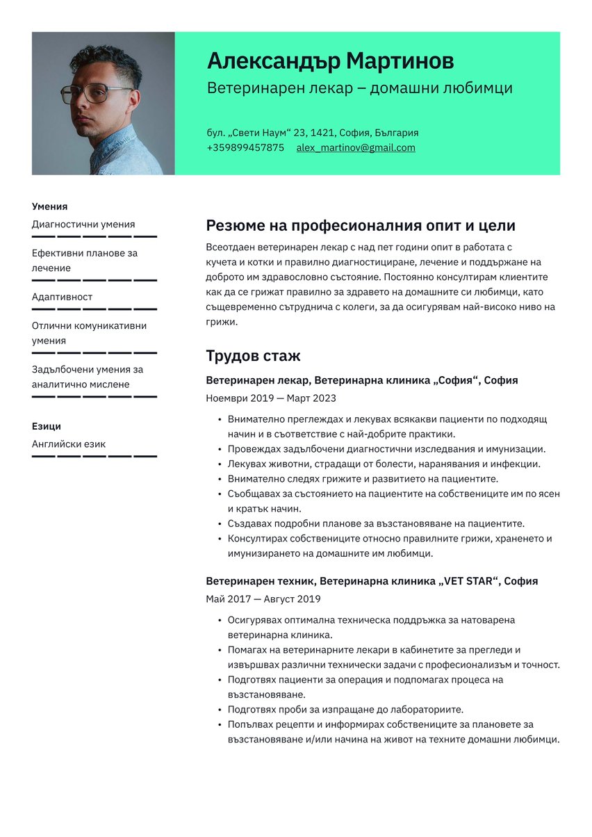 Виена resume template