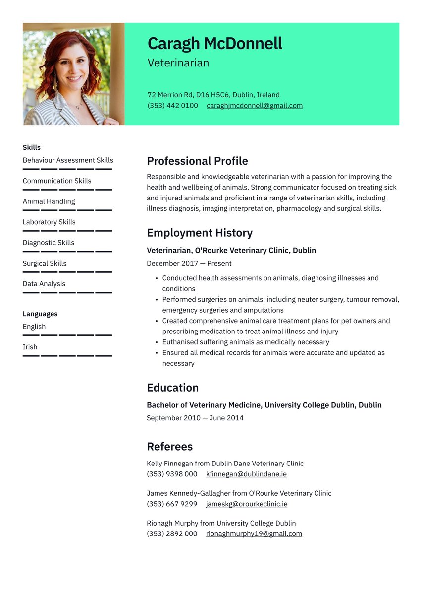 Vienna resume template
