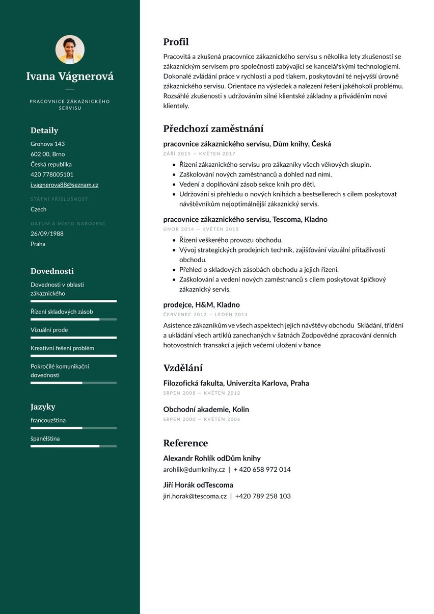 Dublin resume template