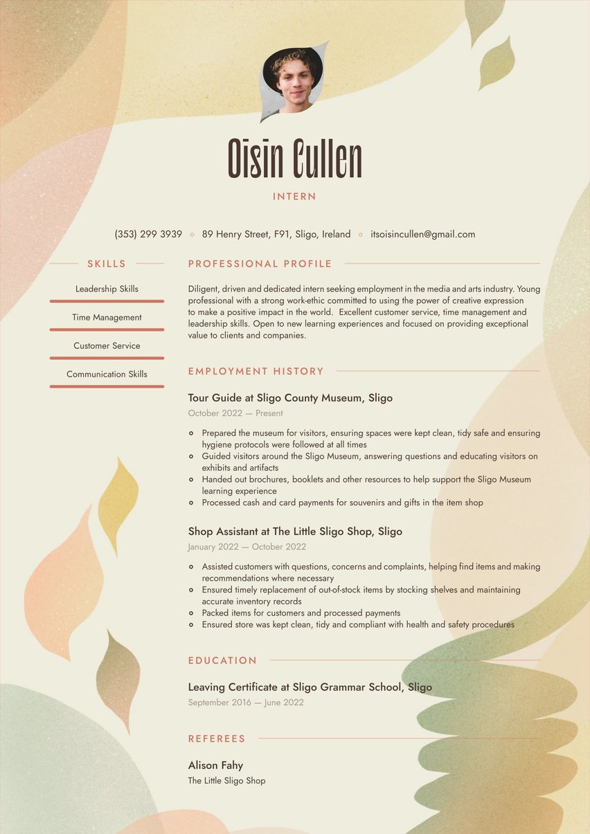 Rio resume template