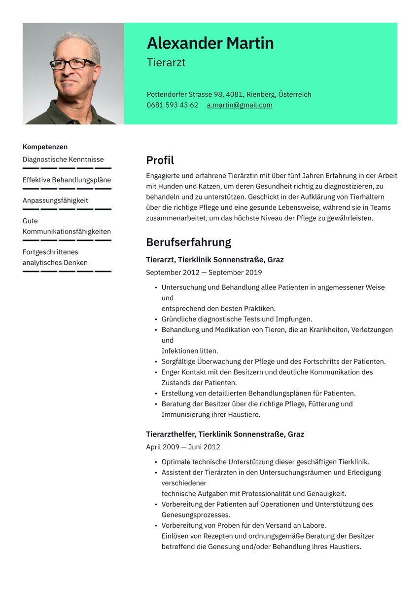 Wien resume template