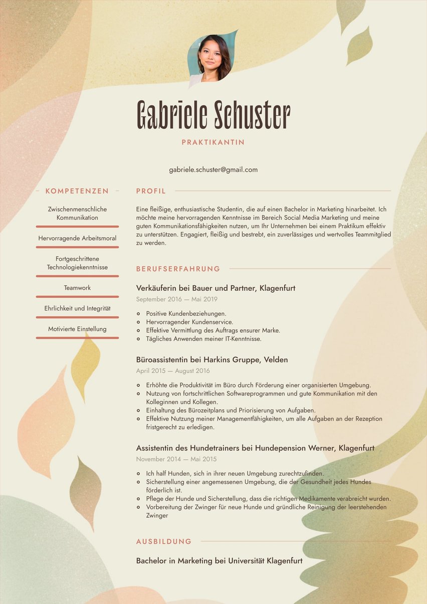 Rio resume template