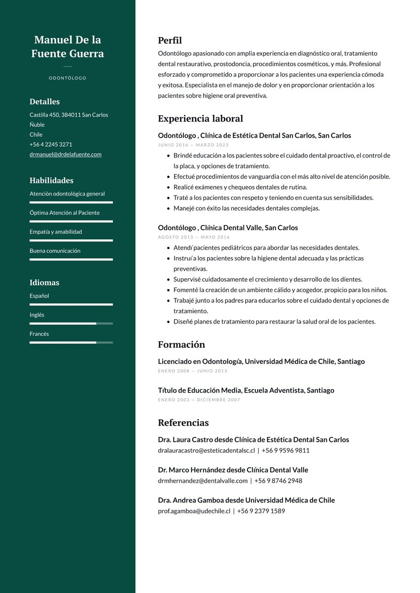 Dublín resume template