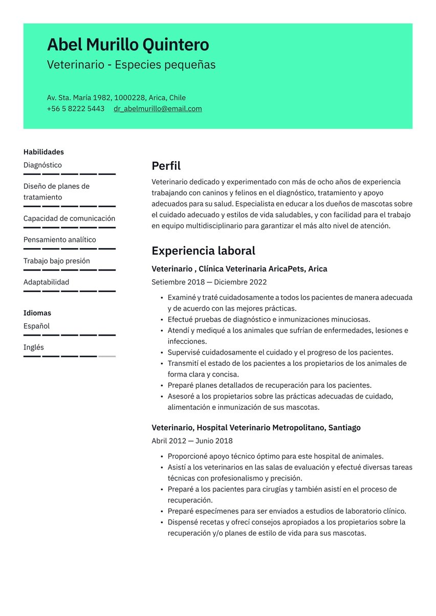 Viena resume template