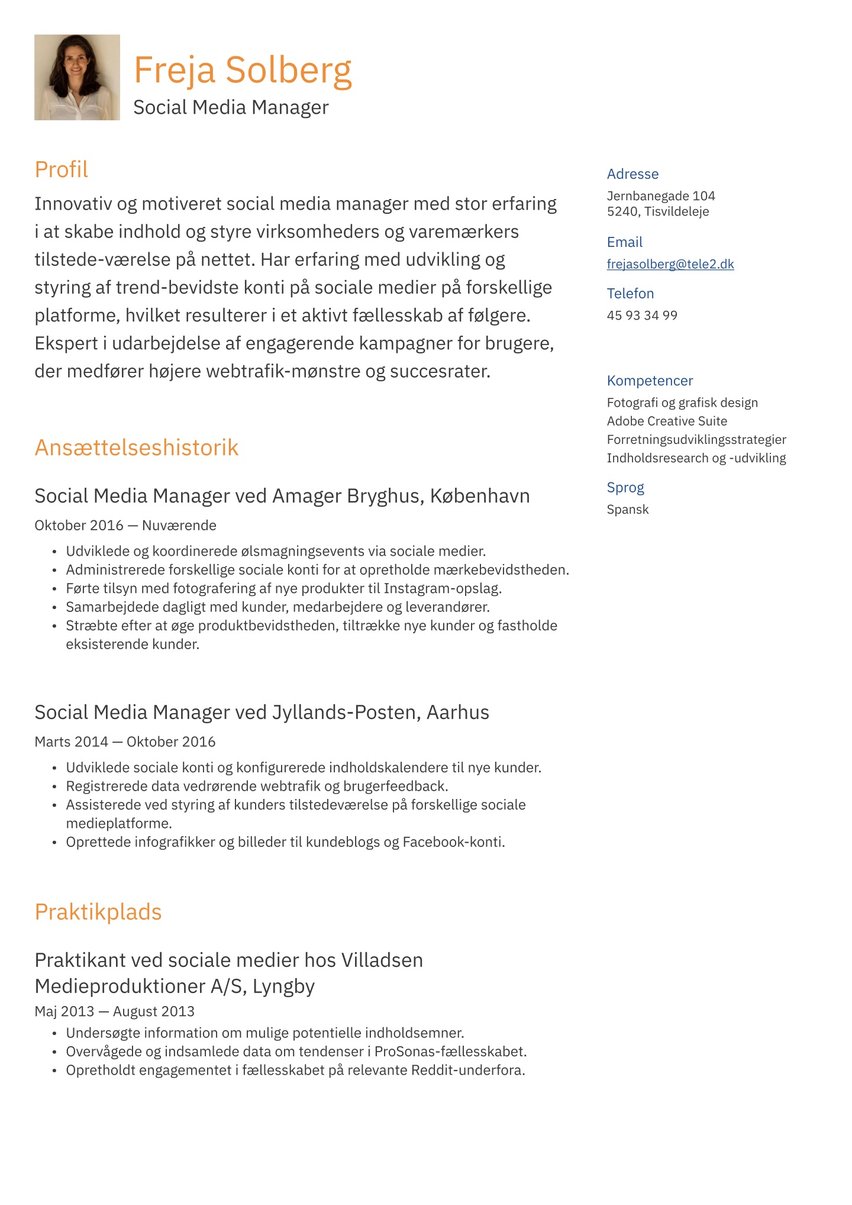 Bruxelles resume template