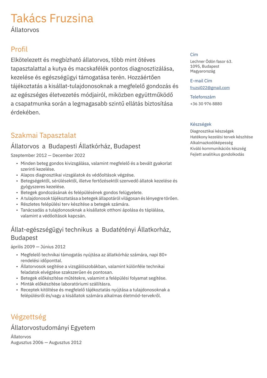 Brüsszel resume template