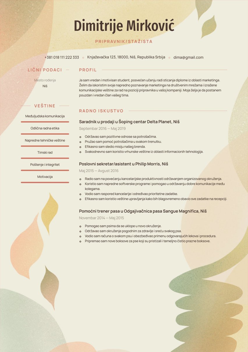 Rio resume template