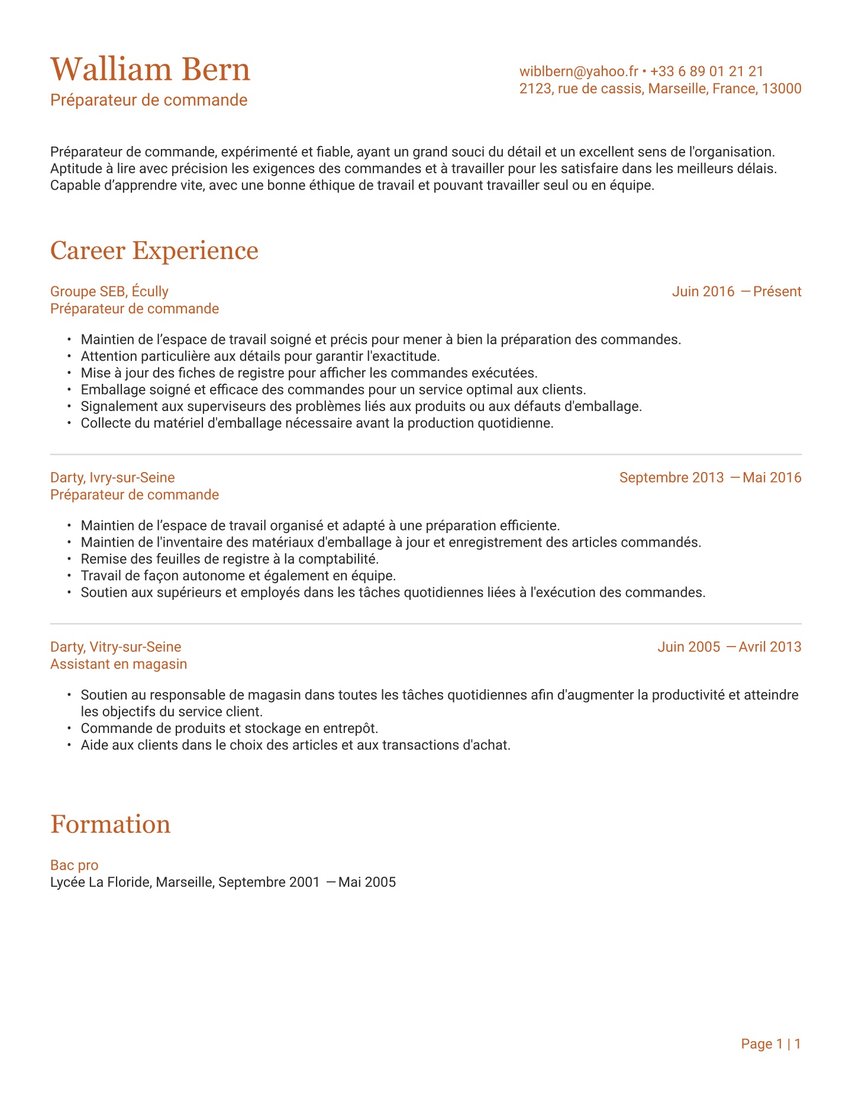 Prague resume template