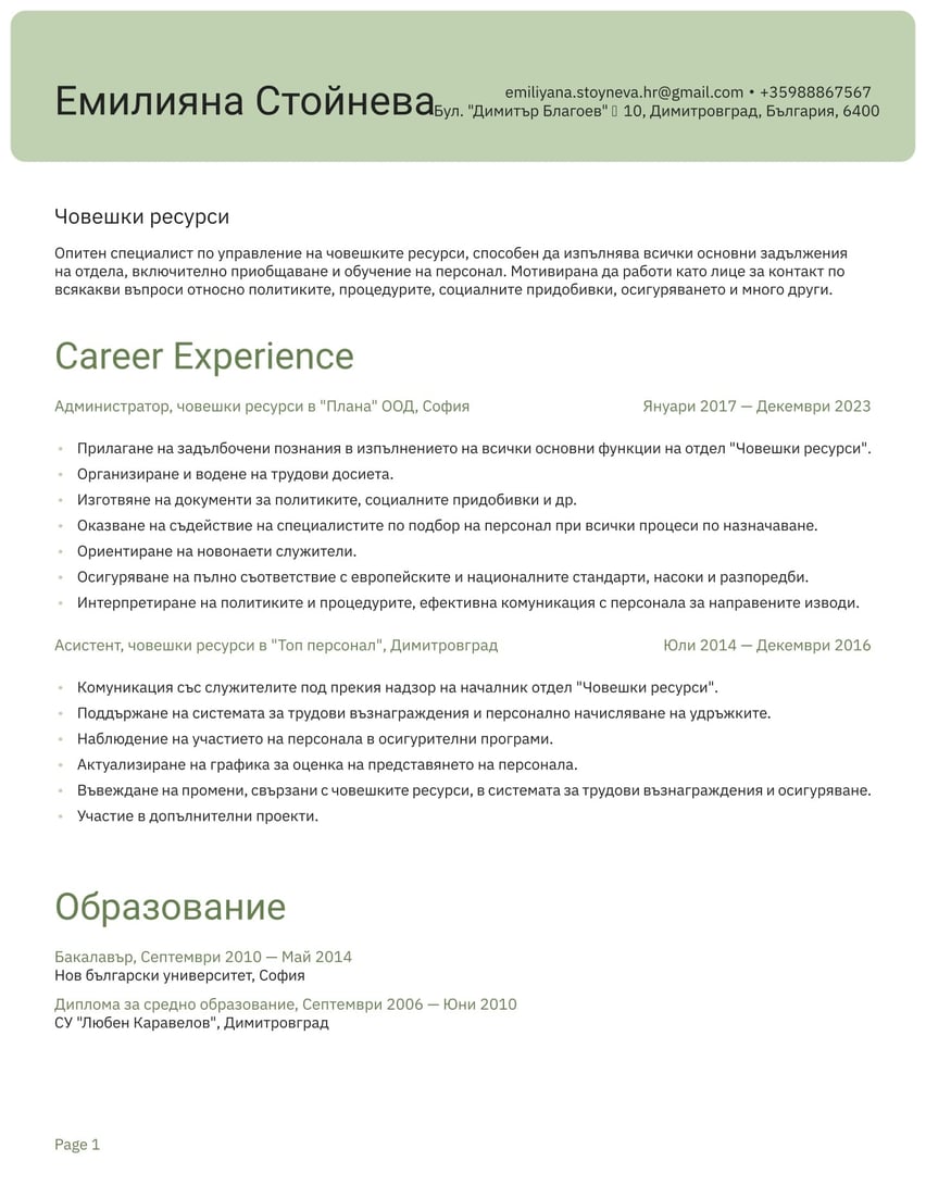Шанхай resume template