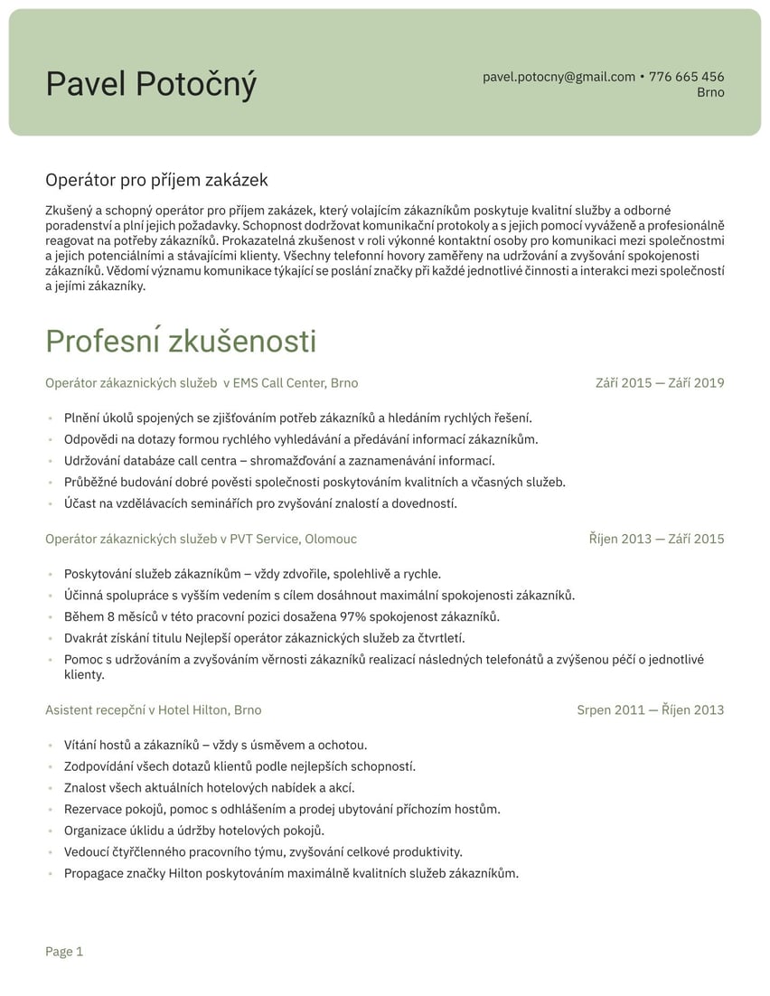 Šanghaj resume template