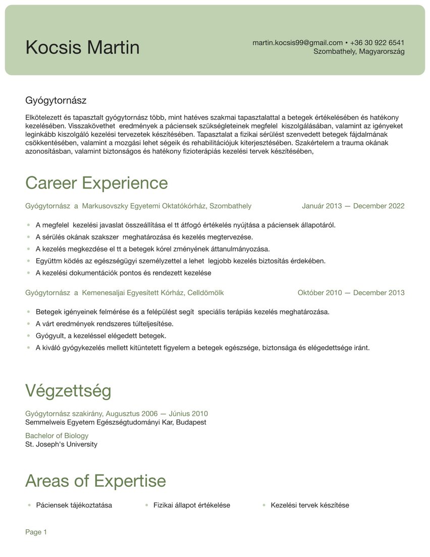 Shanghai resume template