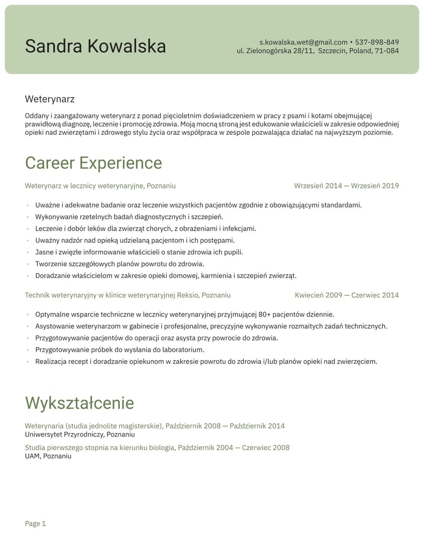 Szanghaj resume template