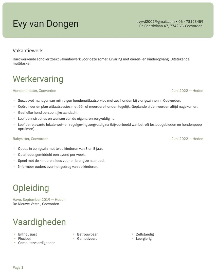 Shanghai resume template