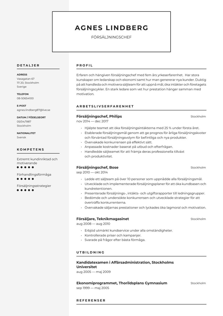 Amsterdam resume template